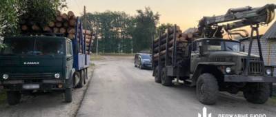 Экс-чиновник лесхоза на Луганщине организовал схему сбыта древесины на 2 млн гривень