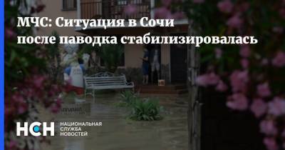МЧС: Ситуация в Сочи после паводка стабилизировалась