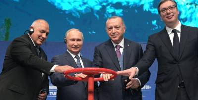 Эрдоган откусил 20 процентов украинского транзита, пока Зеленский...