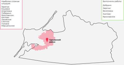 54 гектара обработали, осталось 70 га: где в Гурьевском районе самая сложная ситуация с борщевиком (карта)