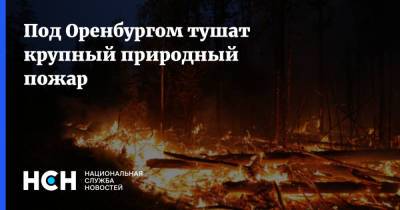 Под Оренбургом тушат крупный природный пожар