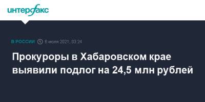 Прокуроры в Хабаровском крае выявили подлог на 24,5 млн рублей