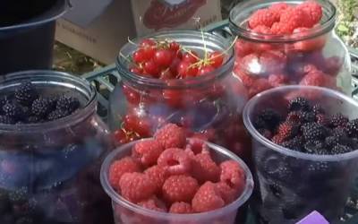 Пластический хирург не понадобится: диетологи назвали ягоду, которая способна сохранить молодость