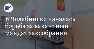 В Челябинске началась борьба за вакантный мандат заксобрания