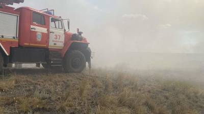 Режим ЧС ввели в Медногорске Оренбургской области из-за степного пожара