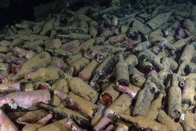 Биоразведка: Пивовары ищут бутылки с затонувших сотни лет назад кораблей