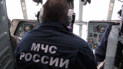 Спецкомиссия будет сформирована для расследования исчезновения Ан-26