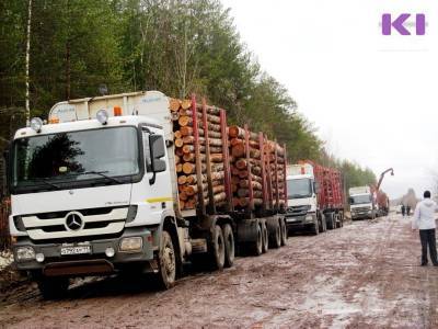 Только сплав: лес в Коми больше не будут перевозить большегрузы