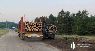 ГБР разоблачило схему по продаже «сгоревшей» на пожарах в Луганской области древесины на миллионы гривен. ФОТО. ВИДЕО