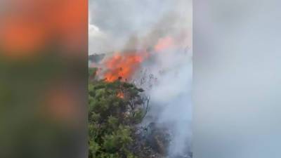 Новости на "России 24". В Ирландии не могут справиться с лесным пожаром неподалеку от Дублина