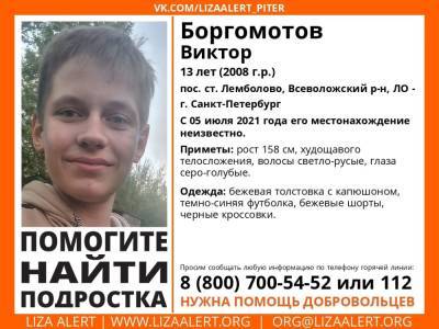 Во Всеволожском районе без вести пропал 13-летний мальчик