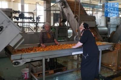 Кикунинский консервный завод возобновил работу на период сбора урожая в Дагестане