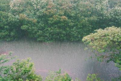 В ЛНР ожидаются сильные дожди