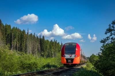 «Ласточка» из Петербурга в Великий Новгород будет ходить на 55 минут быстрее