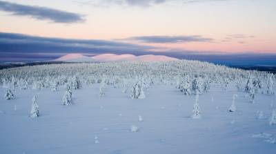 Самая высокая за сто лет: в Лапландии зафиксировали температурный рекорд
