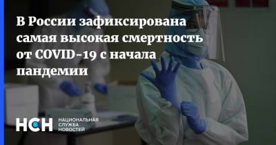 В России зафиксирована самая высокая смертность от COVID-19 с начала пандемии