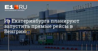 Из Екатеринбурга планируют запустить прямые рейсы в Венгрию