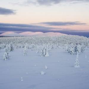 В Лапландии зафиксирована максимальная температура за сотню лет