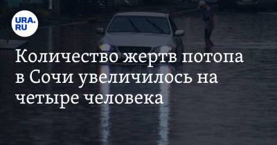 Количество жертв потопа в Сочи увеличилось на четыре человека - ura.news - Сочи - Туапсе
