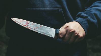 Исполосована ножом: в Подмосковье зверски убита художница Анастасия Огрызкова