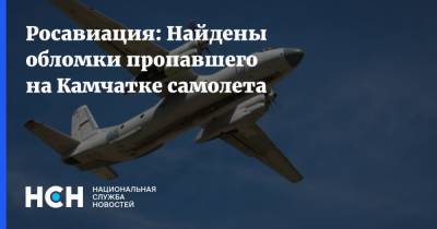 Росавиация: Найдены обломки пропавшего на Камчатке самолета