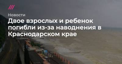 Двое взрослых и ребенок погибли из-за наводнения в Краснодарском крае