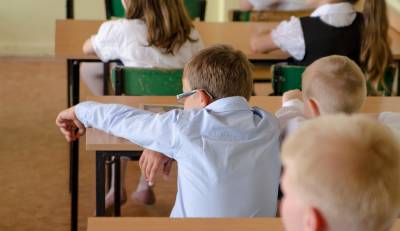 В России обновлены госстандарты для начальной и основной школы