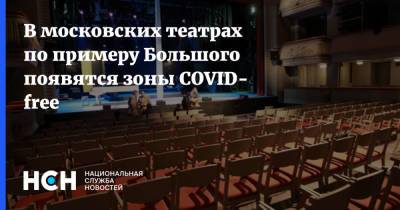 В московских театрах по примеру Большого появятся зоны COVID- free