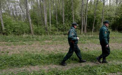 В Польше задержали 40 афганских нелегалов из Беларуси