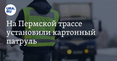На Пермской трассе установили картонный патруль. Фото