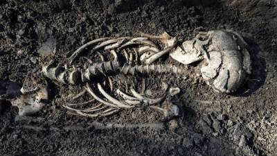 В Швеции обнаружены скелеты младенцев-близнецов викингов