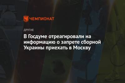 В Госдуме отреагировали на информацию о запрете сборной Украины приехать в Москву