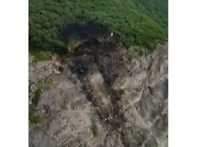 Опубликовано видео с места крушения пассажирского самолета на Камчатке