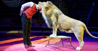 Комитет Рады рекомендовал разрешить передачу животных из цирков в реабилитационные центры