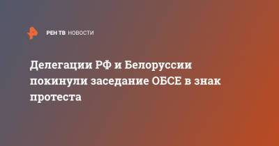 Делегации РФ и Белоруссии покинули заседание ОБСЕ в знак протеста