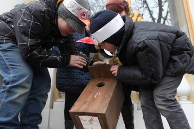 Петербуржцев призвали не спасать птенцов чаек и рассказали, как их отличить от бакланов
