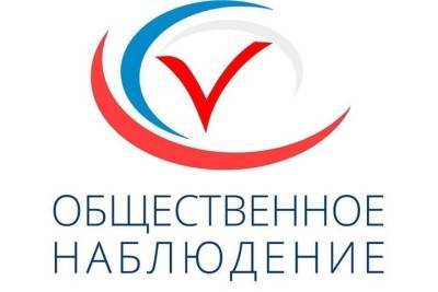 Костромские эксперты поддержали многодневное голосование