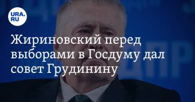 Жириновский перед выборами в Госдуму дал совет Грудинину