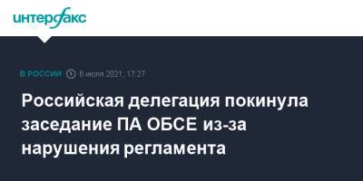 Российская делегация покинула заседание ПА ОБСЕ из-за нарушения регламента