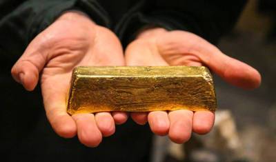 Полицейские изъяли у жителя Читы слитки золота, замаскированные под сувениры