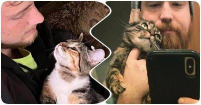 16 котов-подхалимов, которые демонстрируют хозяевам взгляд любви