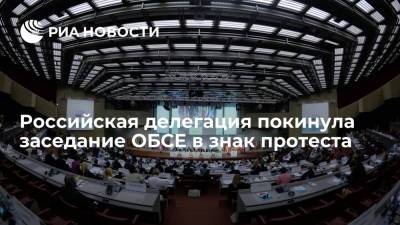 Российская делегация покинула заседание ПА ОБСЕ в знак протеста против нарушения регламента