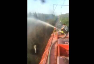 В Лебяженском поселении продолжает гореть участок леса, который вчера тушили с помощью пожарного поезда
