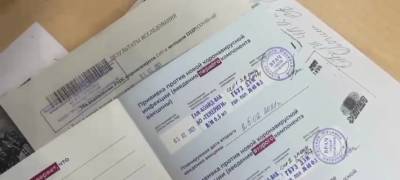 В МВД Карелии рассказали, какое наказание ждет купившего поддельный сертификат о вакцинации