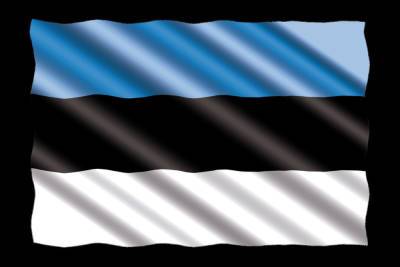 Эстония обвинила РФ в провокации из-за задержания консула в Петербурге