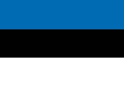 Эстонского консула задержали после деловой встречи в Петербурге