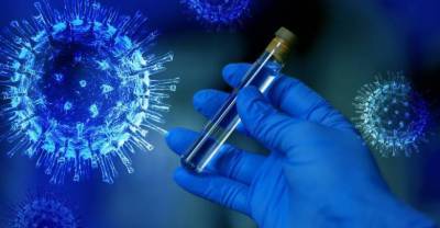 В Бразилии выявили три новые мутации штамма коронавируса "гамма"