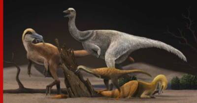 Необычная диета: почему одно из семейств динозавров уменьшилось в размерах