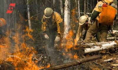 Лесной пожар в Ленобласти тушат вторые сутки