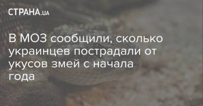В МОЗ сообщили, сколько украинцев пострадали от укусов змей с начала года